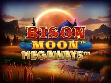 Paşacasino screenshot